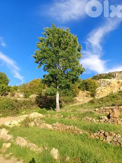 أرض للبيع في عين زحلتا الشوفland for sale in ain zahlta al shouf