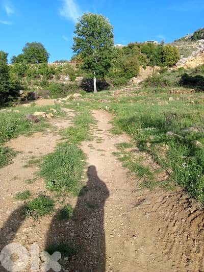أرض للبيع في عين زحلتا الشوفland for sale in ain zahlta al shouf