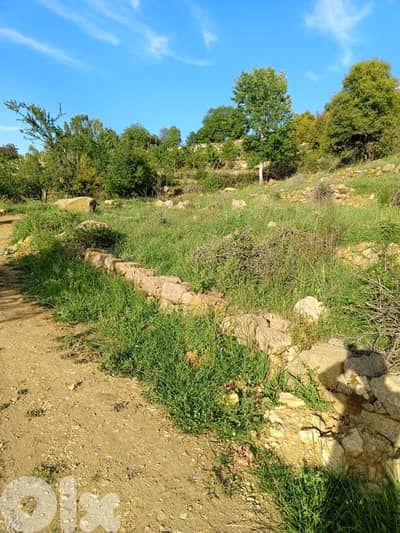 أرض للبيع في عين زحلتا الشوفland for sale in ain zahlta al shouf