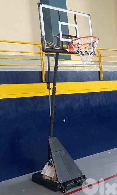 230$ movable basketball hoop