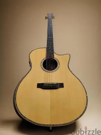 Acoustic Electric Guitar