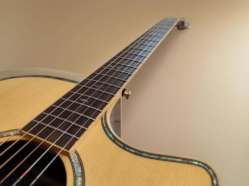 Acoustic Electric Guitar 1