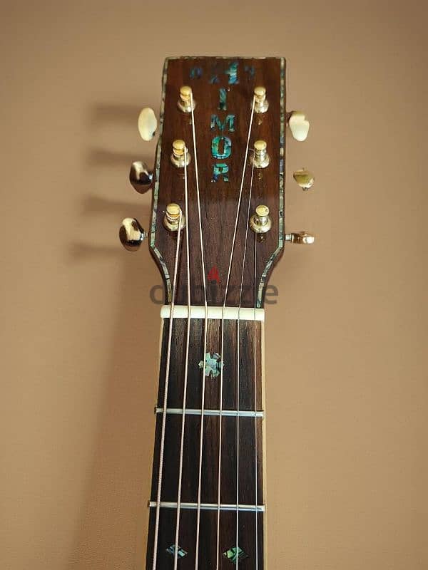 Acoustic Electric Guitar 2
