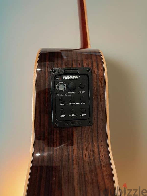 Acoustic Electric Guitar 5