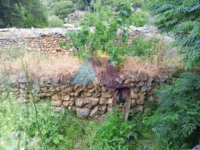 1826 m2 land for sale in Batroun - أرض للبيع في البترون