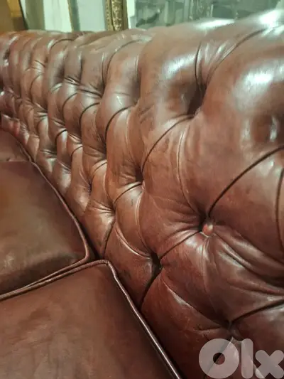chesterfield salon genuine leather buffalo original