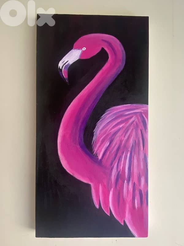 flamingo 60*30 3