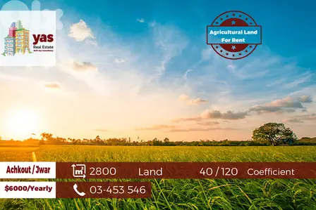 Achkout / Jwar 2800m2 | Flat Land | 40 / 120 Coefficient | Rent | WA |
