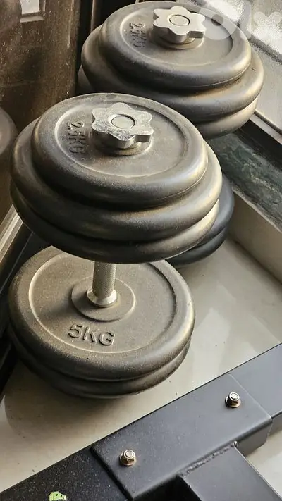 dumbbells 27kg pair