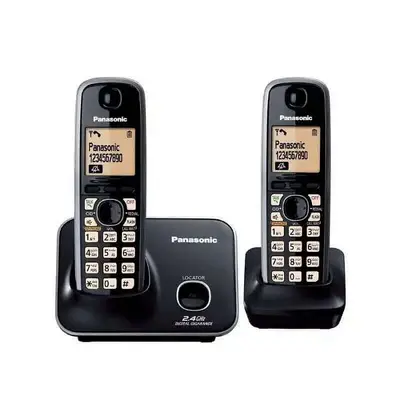 handy dual PANASONIC with speaker