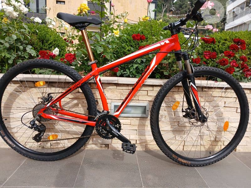 specialized Hardrok 29 0