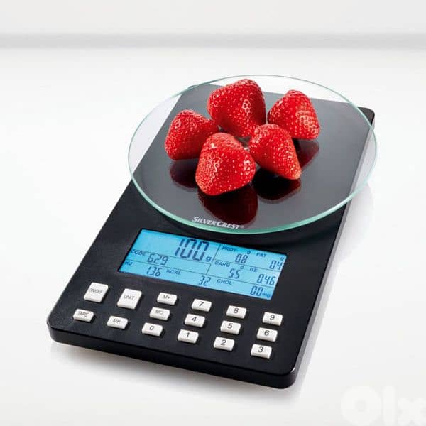 dietitian scale/silver crest 1
