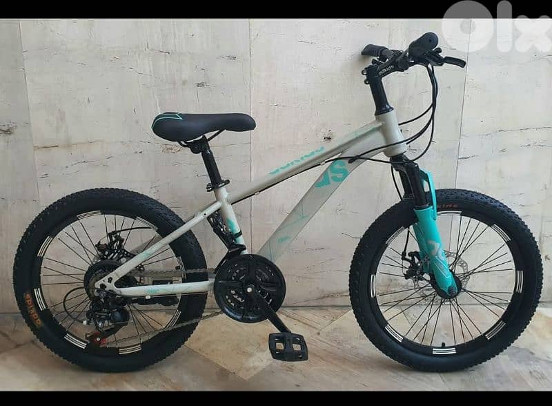 size 20" (brand new)  7-12 years disc brakes 21spedd 1