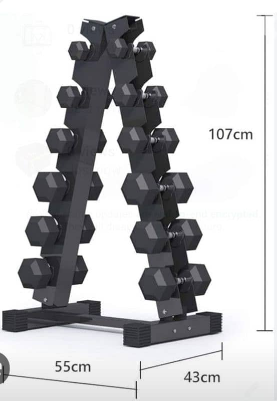 Dumbbells rack weights 0