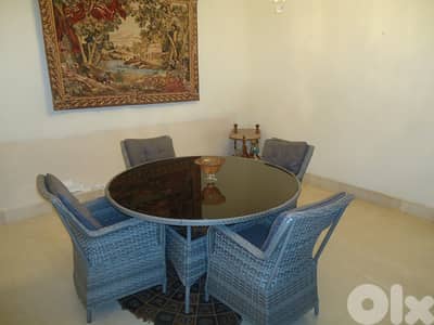 Apartment for rent in Ain Saade شقة للايجار في عين سعادة