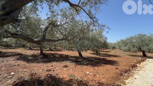 RWB154SN - Land for sale in Bsarma Koura