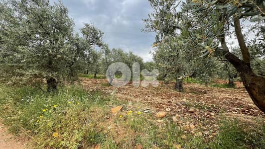 RWB155SN - Land for sale in Kousba - Koura