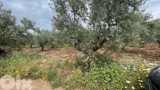RWB155SN - Land for sale in Kousba - Koura
