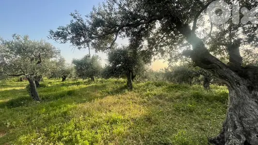 RWB157SN - Land for sale in Kousba el Koura