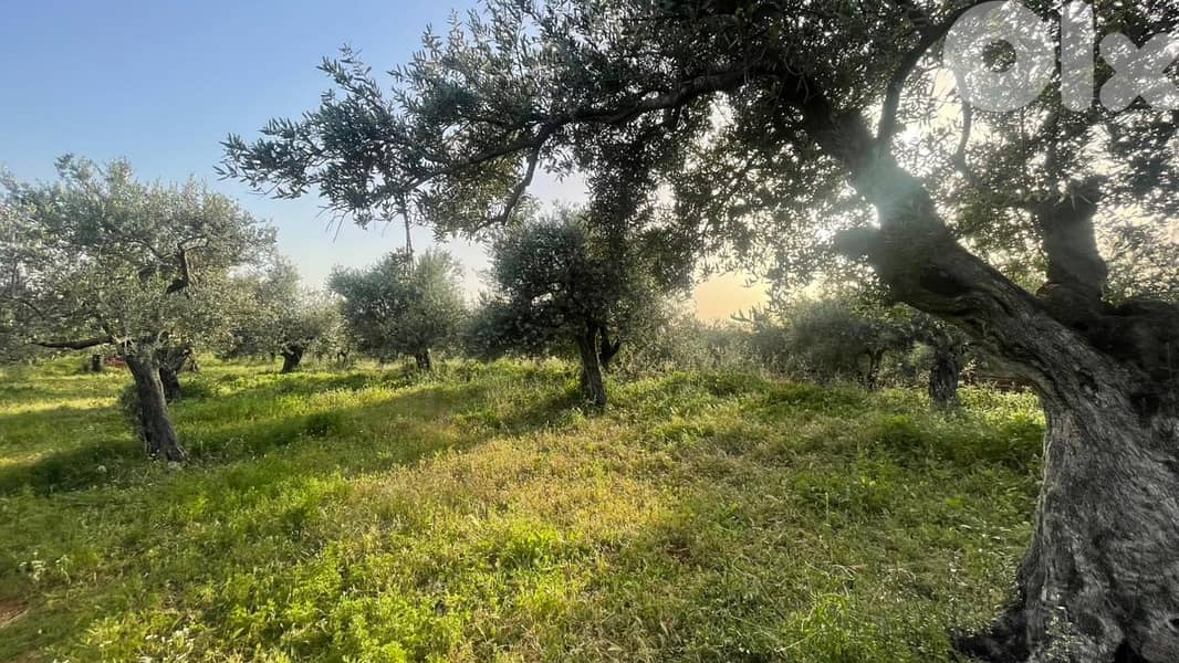 RWB157SN - Land for sale in Kousba el Koura 0