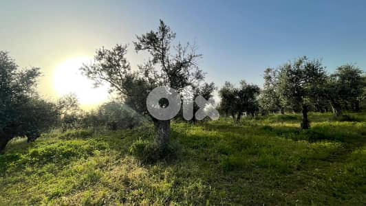 RWB157SN - Land for sale in Kousba el Koura