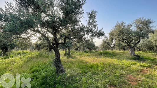 RWB157SN - Land for sale in Kousba el Koura
