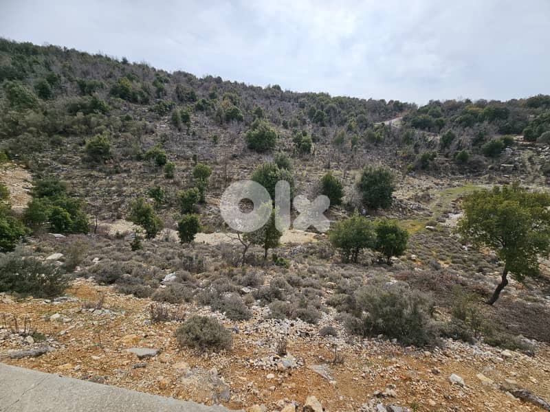 RWB406MT - Land for sale in Mechmech Jbeil 3