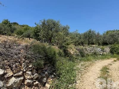 land for sale in Amioun