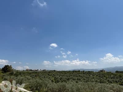 land for sale in Amioun