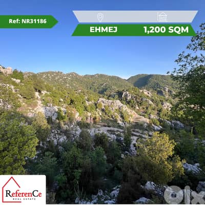 Land for sale in ehmej أرض للبيع في أهمج