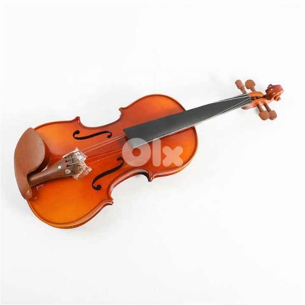 Starway premium quality professionel violin . WAPP: 81872431 1