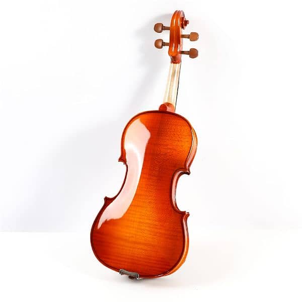 Starway premium quality professionel violin . WAPP: 81872431 2