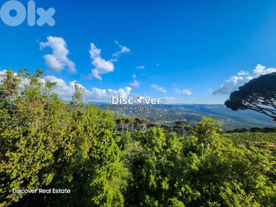 Looking for a villa with massive land? | Villa for sale in Baabdat