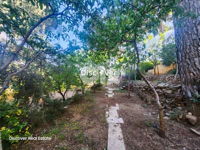 Looking for a villa with massive land? | Villa for sale in Baabdat