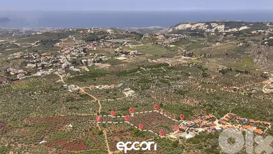 For Sale: Massive Olive Plot in Aafsdiq- Road Access,Electricity,water