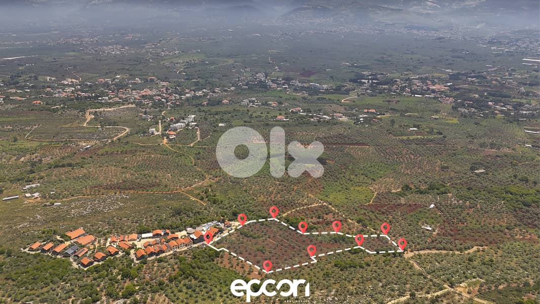For Sale: Massive Olive Plot in Aafsdiq- Road Access,Electricity,water 1