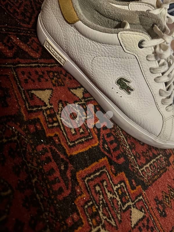 Lacoste Shoes 0