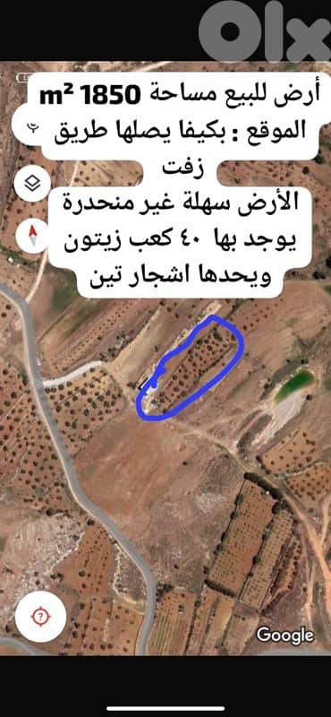 أرض للبيع في راشيا الوادي بكيفاland for sale in rashaya beqaa