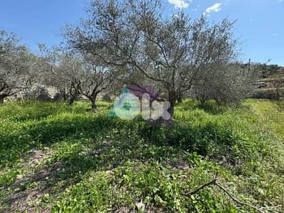980 m2 land + open view for sale in Rihani - Jbeil - الريحاني - جبيل
