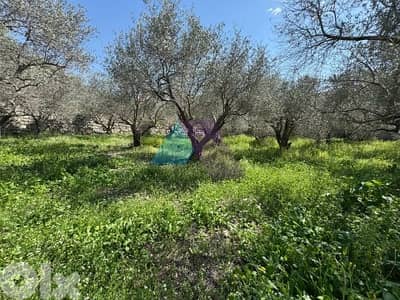 980 m2 land + open view for sale in Rihani - Jbeil - الريحاني - جبيل