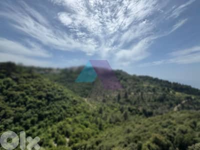650 m2 land + open mountain view for sale in Fatqa - للبيع في فتقا