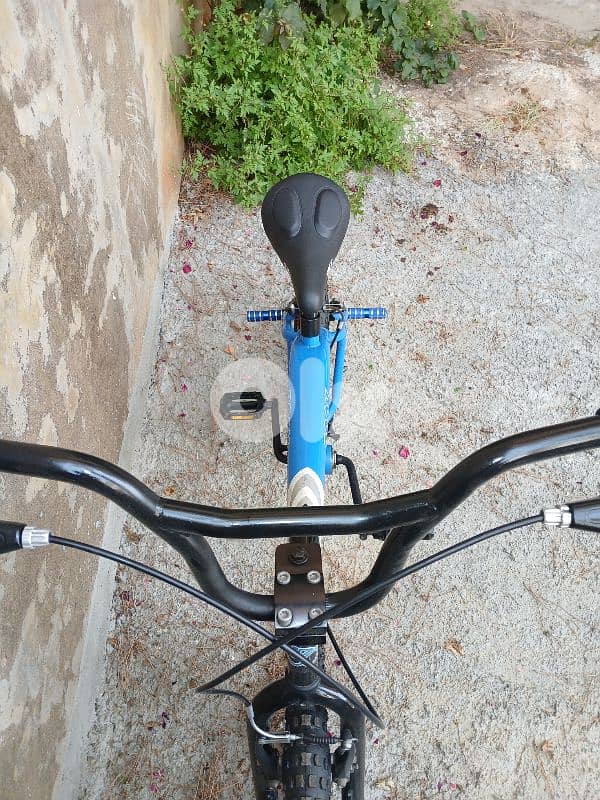 Element BMX 4