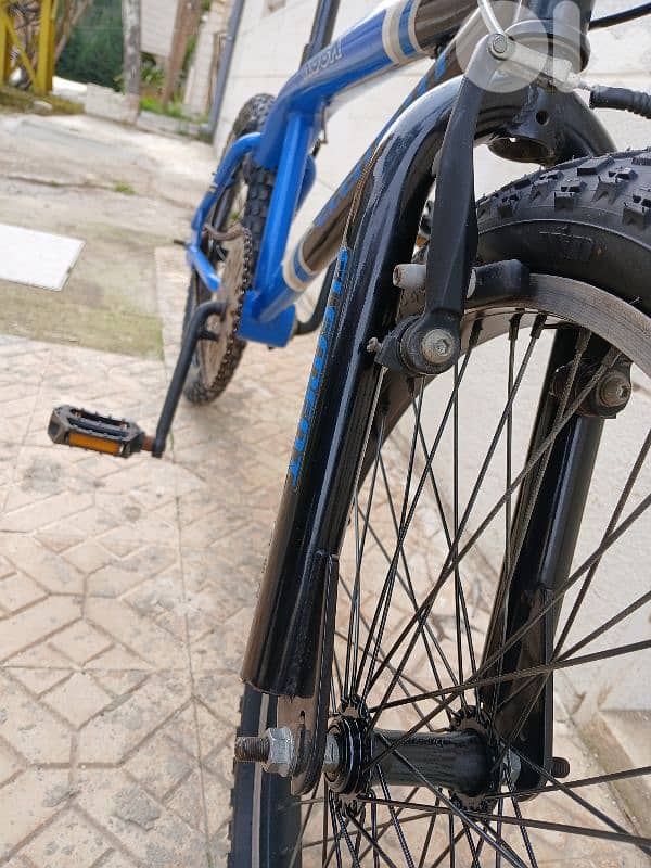 Element BMX 11