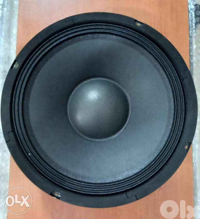 woofer 10 inch 300w 8 ohm 0