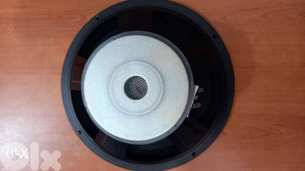 woofer 10 inch 300w 8 ohm 1