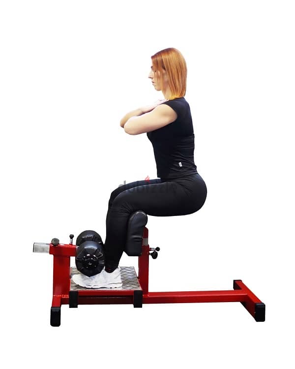 sissy squat machine 1