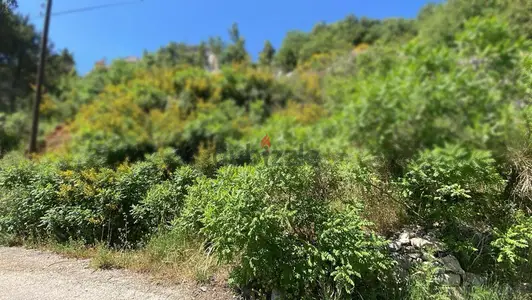 1700 m2 land + open mountain view for sale in Ashkout - عشقوت