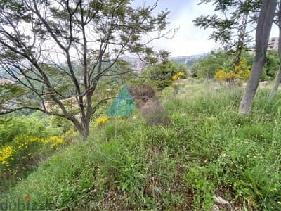 A 1015 m2 land with prime location for sale in Klayaat - القليعات