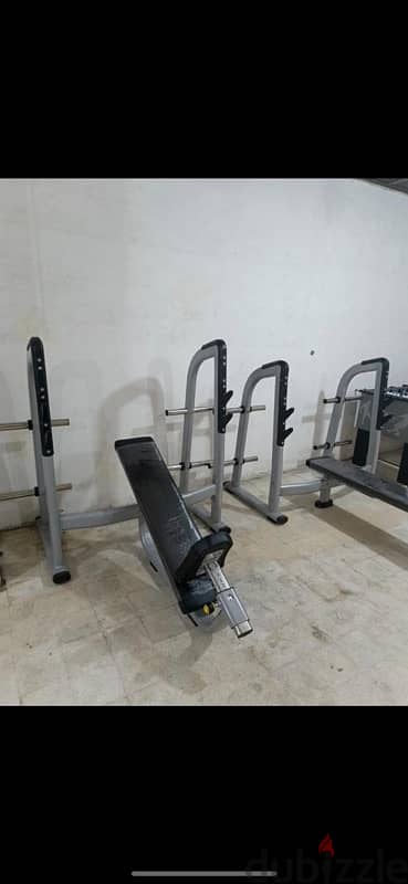 olympic Bench 2