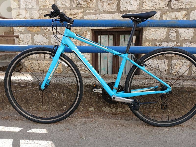 specialized vita 28 12